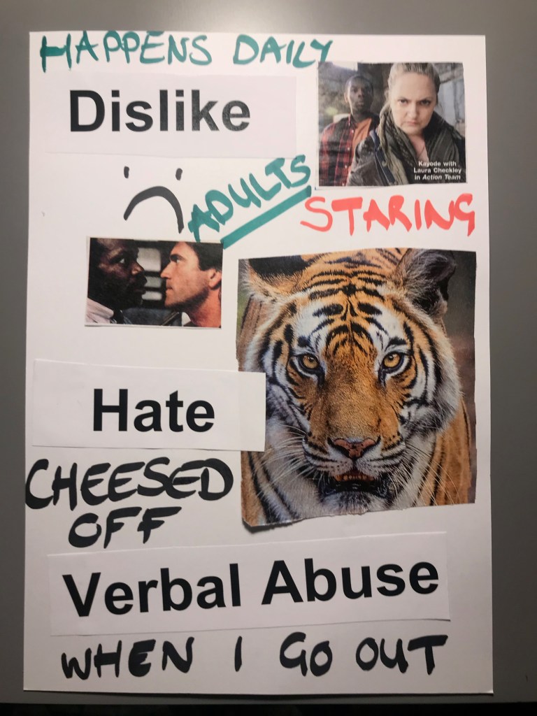 Violet: At the top are the words ‘happens daily’ and ‘adults staring.’ There is a magazine cut out-of two people looking angry facing towards the camera, and to the left a hand-drawn sad face above a picture of two men staring intensely at one another. In the centre is a large photo of a tiger looking intensely into the camera. Below are the words ‘hate’ ‘cheesed off’, and ‘verbal abuse when I go out’.
